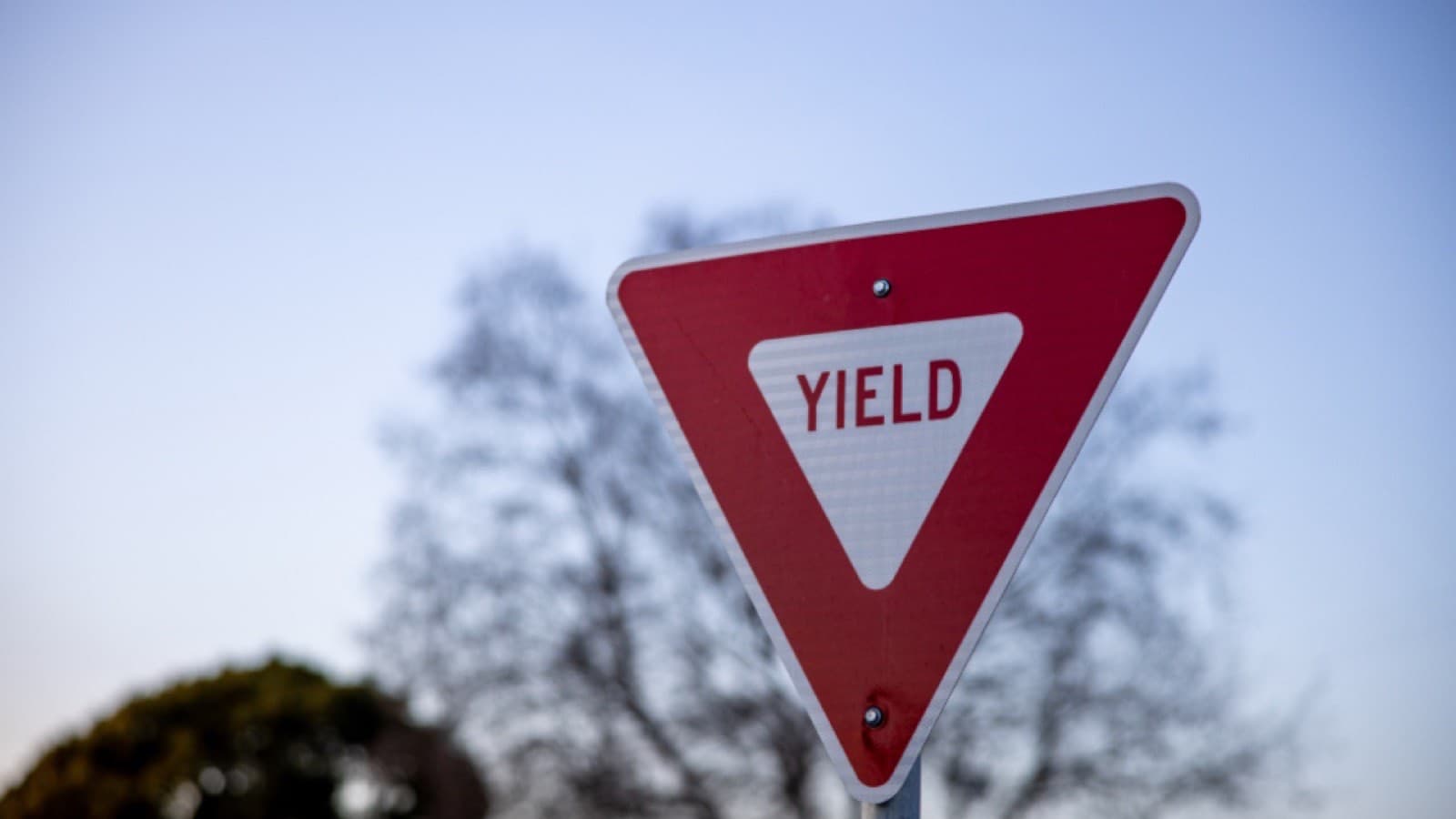 A red and white YIELD road sign against a pale sky