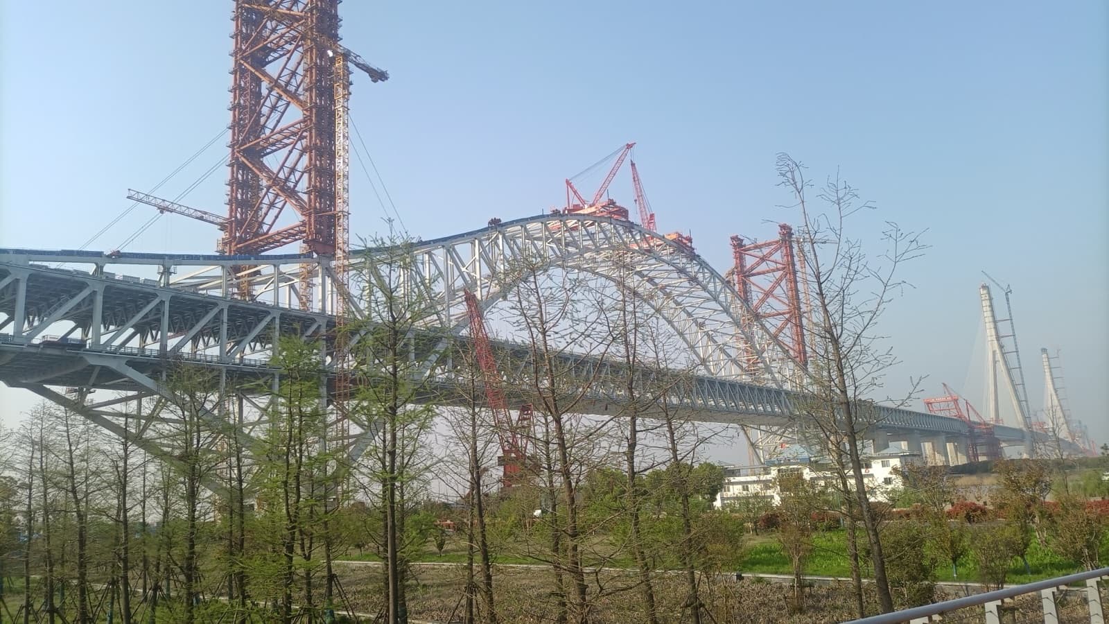 A steel arch bridge under construction, with red tower cranes above the span and young trees in the foreground