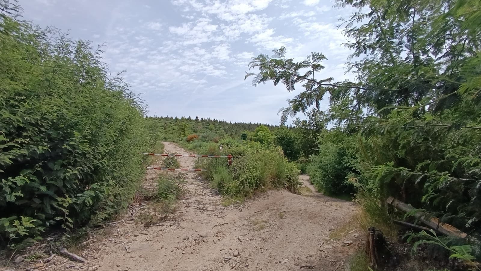 A dirt track forking in two between hedges under a cloudy sky, with a red-and-white barrier across the left branch