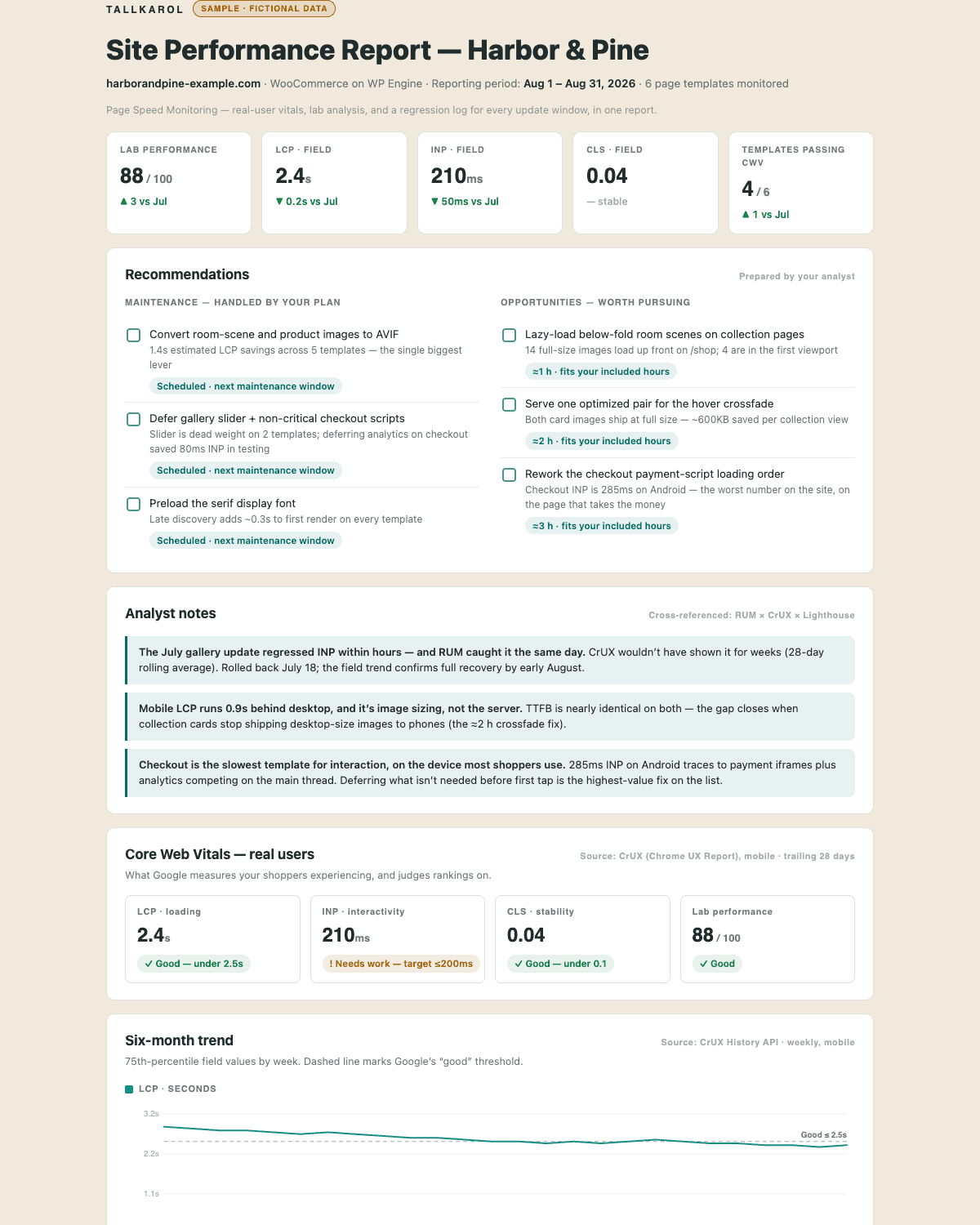 The site performance report: Core Web Vitals figures, a recommendations checklist, and analyst notes