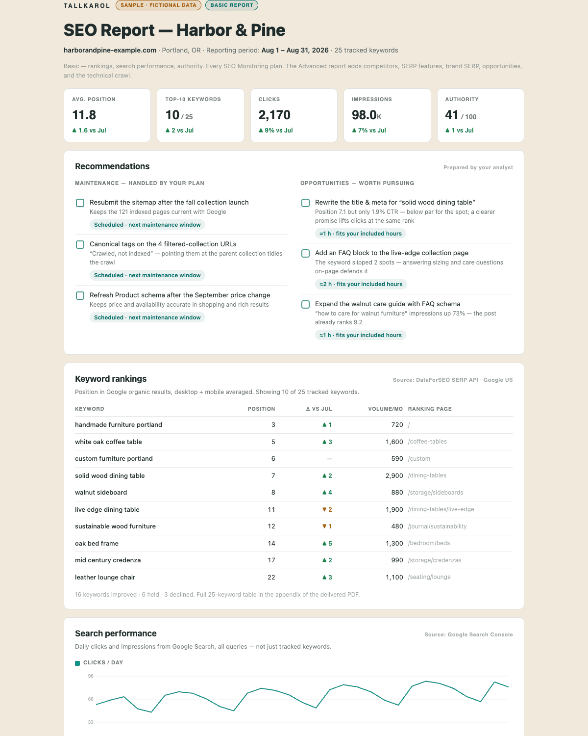 The Basic SEO report: a row of headline figures, a recommendations checklist, and a keyword rankings table